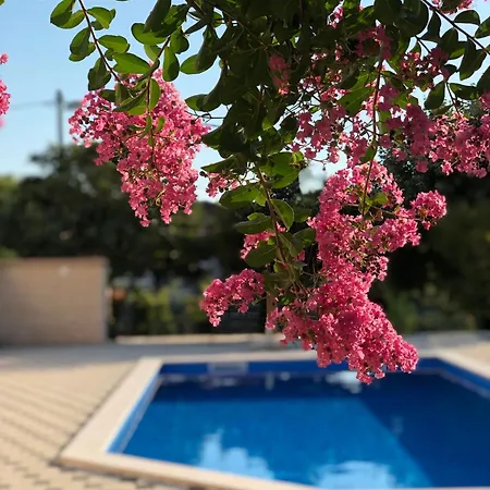 Vila Rose